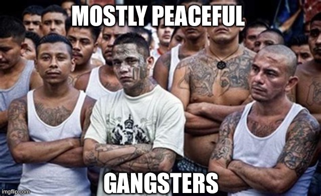 MS13 Family Pic | MOSTLY PEACEFUL GANGSTERS | image tagged in ms13 family pic | made w/ Imgflip meme maker