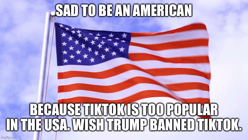 USA flag | SAD TO BE AN AMERICAN; BECAUSE TIKTOK IS TOO POPULAR IN THE USA. WISH TRUMP BANNED TIKTOK. | image tagged in usa flag | made w/ Imgflip meme maker