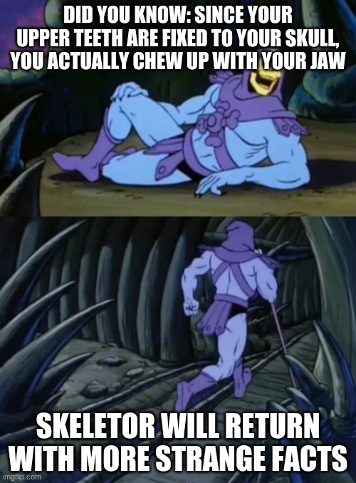Disturbing Facts Skeletor |  DID YOU KNOW: SINCE YOUR UPPER TEETH ARE FIXED TO YOUR SKULL, YOU ACTUALLY CHEW UP WITH YOUR JAW; SKELETOR WILL RETURN WITH MORE STRANGE FACTS | image tagged in disturbing facts skeletor | made w/ Imgflip meme maker