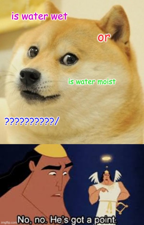 water hmmmm??? | is water wet; or; is water moist; ??????????/ | image tagged in memes,doge,he's got a point | made w/ Imgflip meme maker