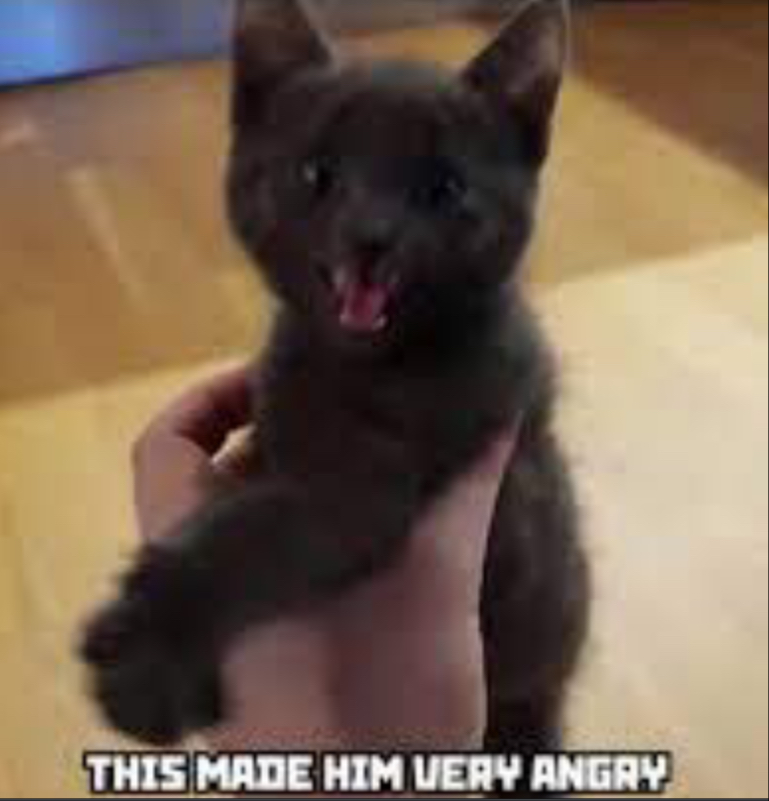 Angry artyom (life of Boris cat) Blank Meme Template