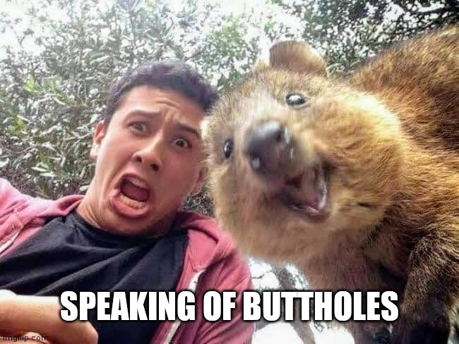 Quokka and Stan | SPEAKING OF BUTTHOLES | image tagged in quokka and stan | made w/ Imgflip meme maker