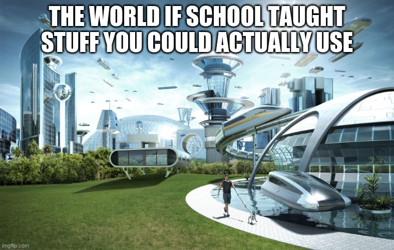 like why don't they | THE WORLD IF SCHOOL TAUGHT STUFF YOU COULD ACTUALLY USE | image tagged in futuristic utopia | made w/ Imgflip meme maker
