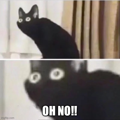 Scared cat | OH NO!! | image tagged in scared cat | made w/ Imgflip meme maker