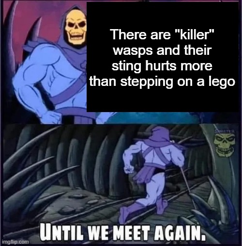 Until we meet again. | There are ''killer'' wasps and their sting hurts more than stepping on a lego | image tagged in until we meet again | made w/ Imgflip meme maker