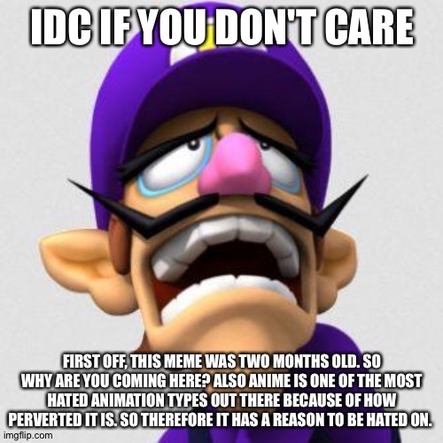 Sad Waluigi | IDC IF YOU DON'T CARE FIRST OFF, THIS MEME WAS TWO MONTHS OLD. SO WHY ARE YOU COMING HERE? ALSO ANIME IS ONE OF THE MOST HATED ANIMATION TYP | image tagged in sad waluigi | made w/ Imgflip meme maker