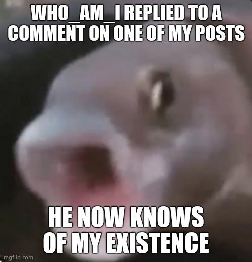 Poggers Fish | WHO_AM_I REPLIED TO A COMMENT ON ONE OF MY POSTS; HE NOW KNOWS OF MY EXISTENCE | image tagged in poggers fish | made w/ Imgflip meme maker