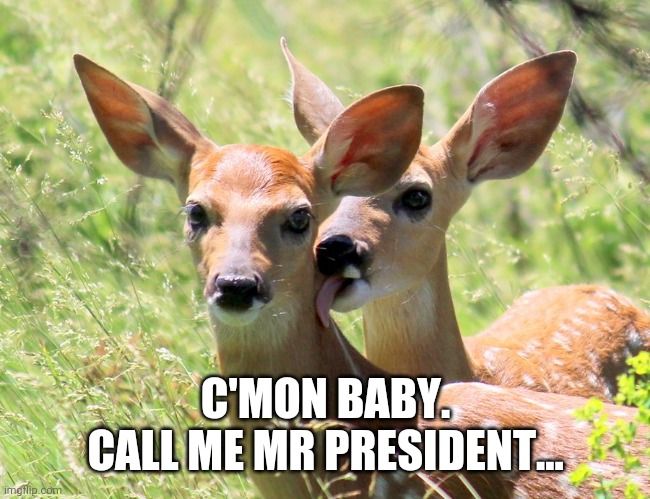 Doe Biden | C'MON BABY.
CALL ME MR PRESIDENT... | image tagged in doe biden | made w/ Imgflip meme maker