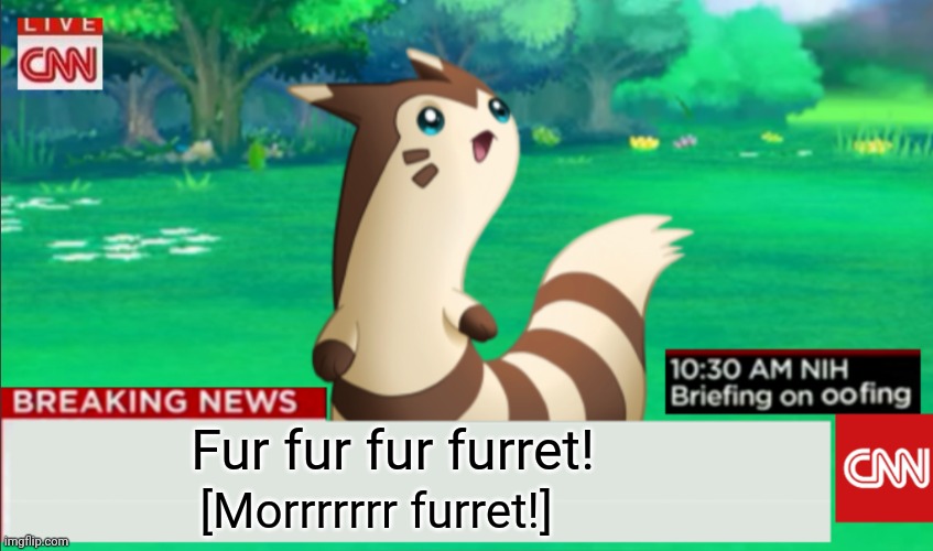 Breaking News Furret | Fur fur fur furret! [Morrrrrrr furret!] | image tagged in breaking news furret | made w/ Imgflip meme maker