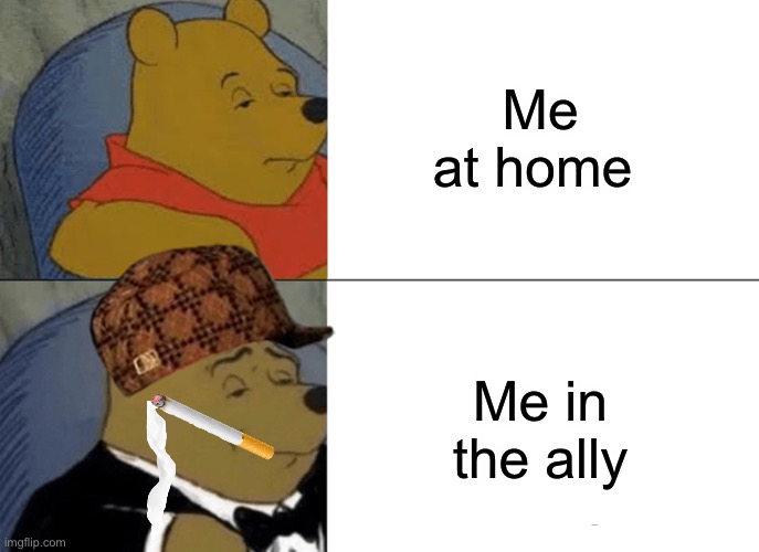 Tuxedo Winnie The Pooh Meme | Me at home; Me in the ally | image tagged in memes,tuxedo winnie the pooh | made w/ Imgflip meme maker