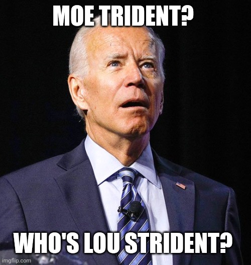 Joe Biden | MOE TRIDENT? WHO'S LOU STRIDENT? | image tagged in joe biden | made w/ Imgflip meme maker