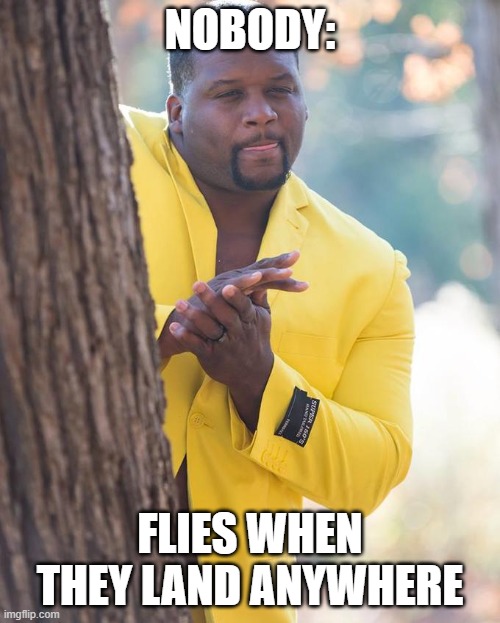 Anthony Adams Rubbing Hands | NOBODY:; FLIES WHEN THEY LAND ANYWHERE | image tagged in anthony adams rubbing hands | made w/ Imgflip meme maker