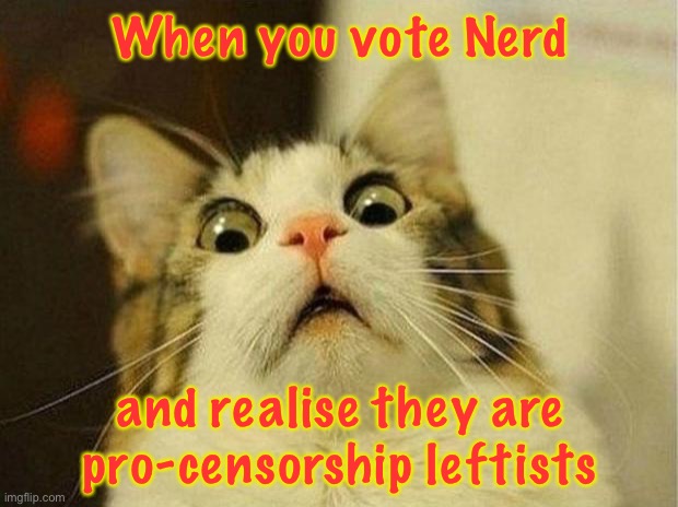 If you want Free speech supporting parties, vote RUP or HCP. | When you vote Nerd; and realise they are pro-censorship leftists | image tagged in memes,scared cat | made w/ Imgflip meme maker