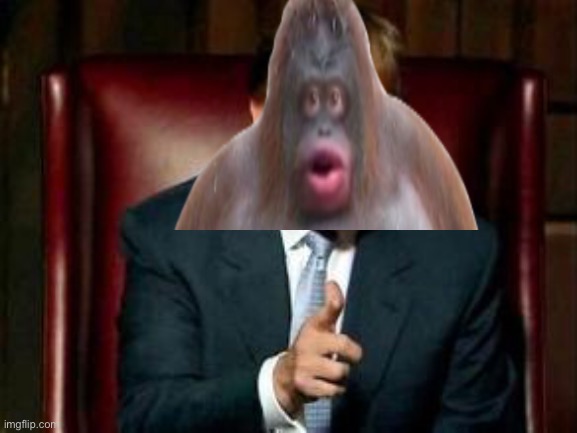 Pablo is running for President. The election will take place the same date as the main election. | made w/ Imgflip meme maker