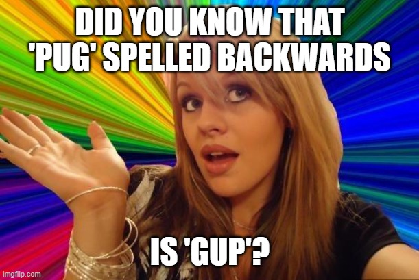 Dumb Blonde Meme | DID YOU KNOW THAT 'PUG' SPELLED BACKWARDS IS 'GUP'? | image tagged in memes,dumb blonde | made w/ Imgflip meme maker