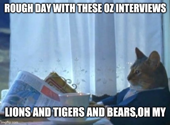 I Should Buy A Boat Cat | ROUGH DAY WITH THESE OZ INTERVIEWS; LIONS AND TIGERS AND BEARS,OH MY | image tagged in memes,i should buy a boat cat | made w/ Imgflip meme maker