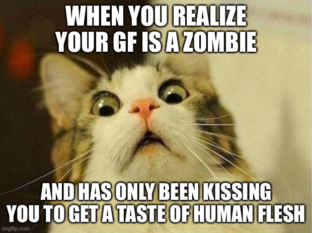 oh no | WHEN YOU REALIZE YOUR GF IS A ZOMBIE; AND HAS ONLY BEEN KISSING YOU TO GET A TASTE OF HUMAN FLESH | image tagged in memes,scared cat,zombie,dark humor,spooky | made w/ Imgflip meme maker