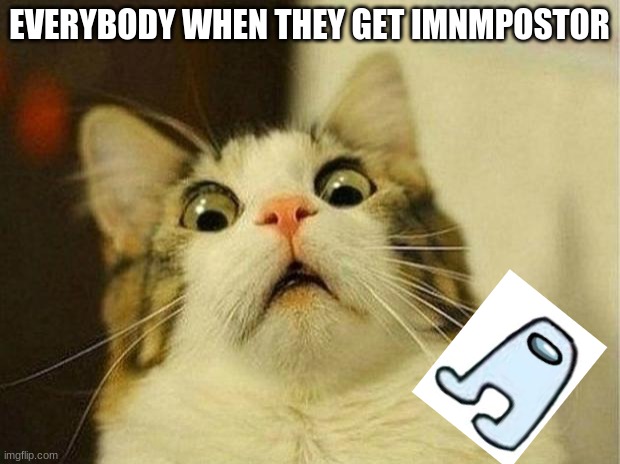 Scared Cat Meme | EVERYBODY WHEN THEY GET IMNMPOSTOR | image tagged in memes,scared cat | made w/ Imgflip meme maker