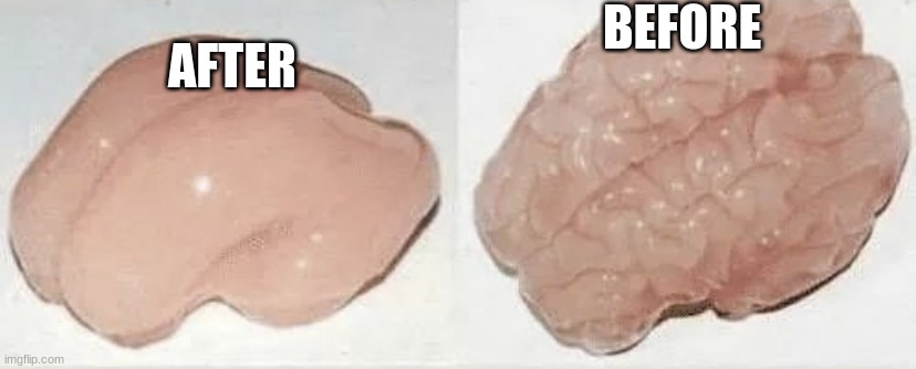 Brains | BEFORE AFTER | image tagged in brains | made w/ Imgflip meme maker