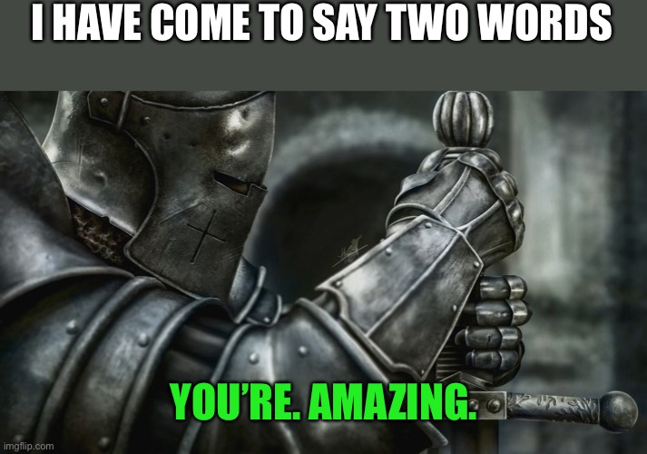 He has | I HAVE COME TO SAY TWO WORDS; YOU’RE. AMAZING. | image tagged in crusader battle ready | made w/ Imgflip meme maker