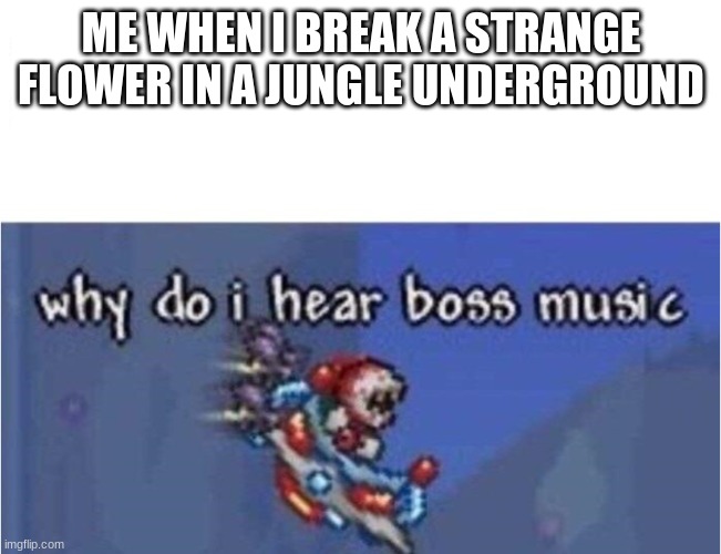 why do i hear boss music | ME WHEN I BREAK A STRANGE FLOWER IN A JUNGLE UNDERGROUND | image tagged in why do i hear boss music | made w/ Imgflip meme maker