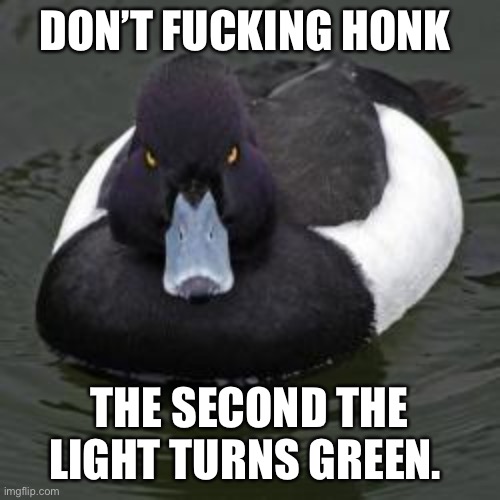 Angry Advice Mallard | DON’T FUCKING HONK; THE SECOND THE LIGHT TURNS GREEN. | image tagged in angry advice mallard,AdviceAnimals | made w/ Imgflip meme maker