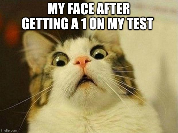 Scared Cat Meme | MY FACE AFTER GETTING A 1 ON MY TEST | image tagged in memes,scared cat | made w/ Imgflip meme maker