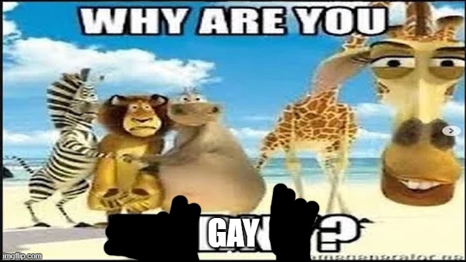 why are you horny | GAY | image tagged in why are you horny | made w/ Imgflip meme maker