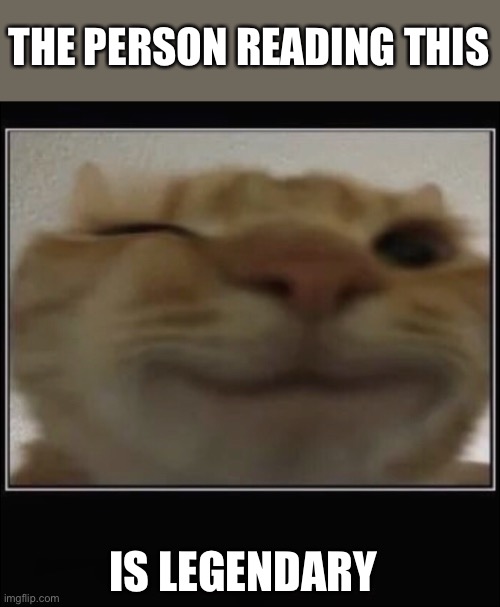 gusic cat | THE PERSON READING THIS; IS LEGENDARY | image tagged in gusic cat | made w/ Imgflip meme maker
