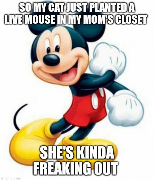 mickey mouse  | SO MY CAT JUST PLANTED A LIVE MOUSE IN MY MOM'S CLOSET; SHE'S KINDA FREAKING OUT | image tagged in mickey mouse | made w/ Imgflip meme maker
