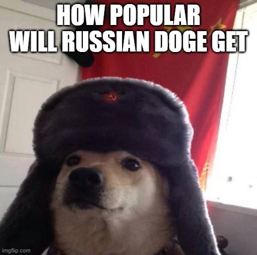 Russian Doge | HOW POPULAR WILL RUSSIAN DOGE GET | image tagged in russian doge | made w/ Imgflip meme maker