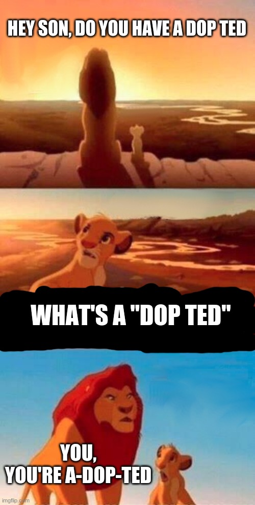 in a alternative ending | HEY SON, DO YOU HAVE A DOP TED; WHAT'S A "DOP TED"; YOU,
YOU'RE A-DOP-TED | image tagged in memes,simba shadowy place | made w/ Imgflip meme maker