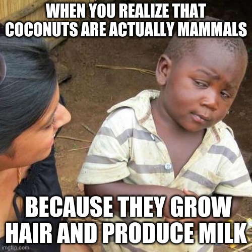 Coconut's Secret | WHEN YOU REALIZE THAT COCONUTS ARE ACTUALLY MAMMALS; BECAUSE THEY GROW HAIR AND PRODUCE MILK | image tagged in memes,third world skeptical kid | made w/ Imgflip meme maker