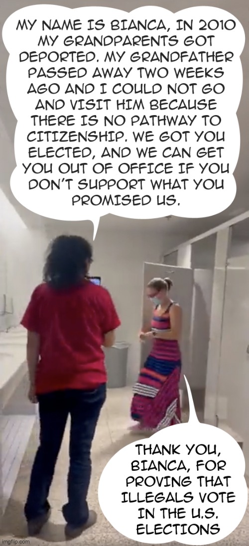 Bianca vs Sinema | image tagged in liberal logic,illegal immigration,election fraud | made w/ Imgflip meme maker