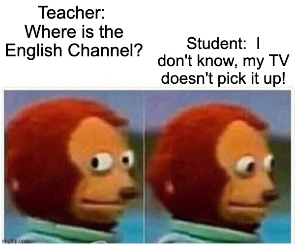 Monkey Puppet | Teacher:  Where is the English Channel? Student:  I don't know, my TV doesn't pick it up! | image tagged in memes,monkey puppet | made w/ Imgflip meme maker