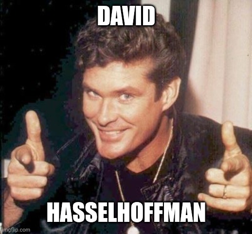 The Hoff thinks your awesome | DAVID HASSELHOFFMAN | image tagged in the hoff thinks your awesome | made w/ Imgflip meme maker
