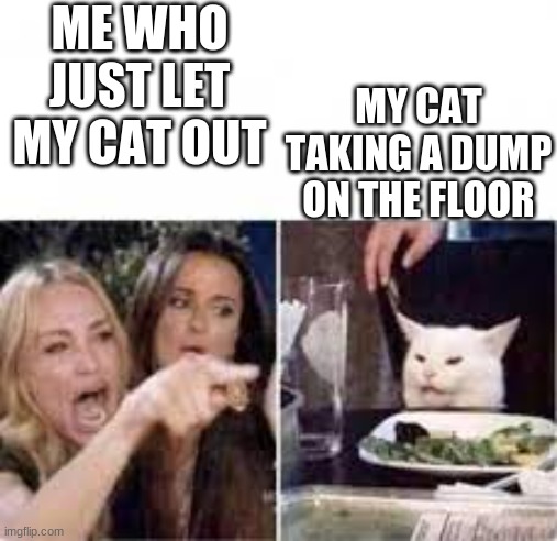 true | ME WHO JUST LET MY CAT OUT; MY CAT TAKING A DUMP ON THE FLOOR | image tagged in cat | made w/ Imgflip meme maker