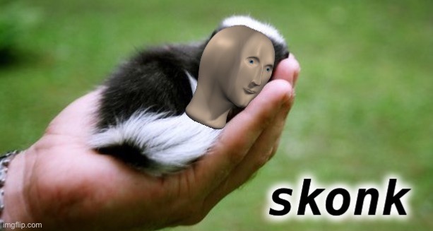 Meme man skonk | image tagged in meme man skonk | made w/ Imgflip meme maker