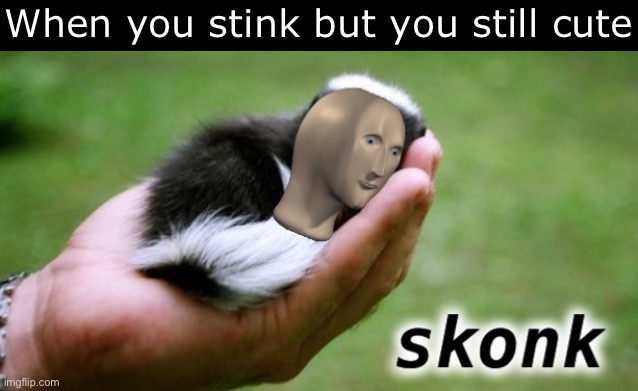 Meme man skonk | When you stink but you still cute | image tagged in meme man skonk | made w/ Imgflip meme maker