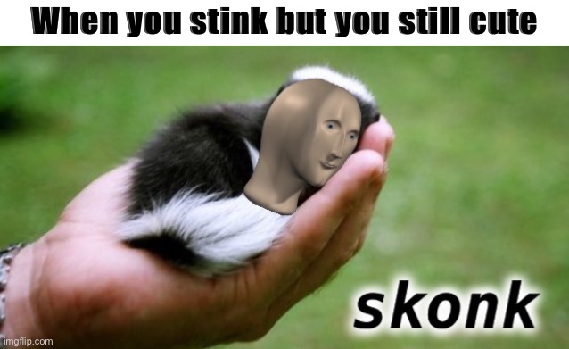 Meme man skonk | When you stink but you still cute | image tagged in meme man skonk | made w/ Imgflip meme maker