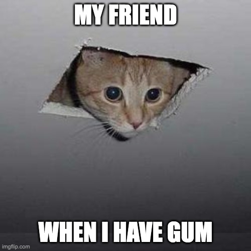 SHE FINISHED MY PACK OF GUM IN A WEEK. | MY FRIEND; WHEN I HAVE GUM | image tagged in memes,ceiling cat | made w/ Imgflip meme maker