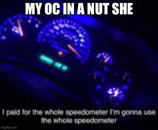 I paid for the whole speedometer | MY OC IN A NUT SHELL | image tagged in i paid for the whole speedometer | made w/ Imgflip meme maker