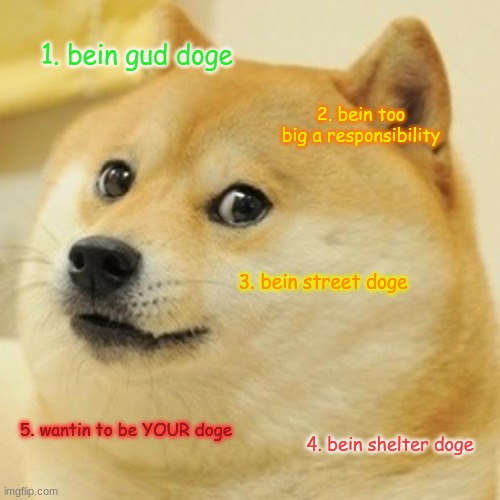 doge | 1. bein gud doge; 2. bein too big a responsibility; 3. bein street doge; 5. wantin to be YOUR doge; 4. bein shelter doge | image tagged in memes,doge,sad,shelter | made w/ Imgflip meme maker
