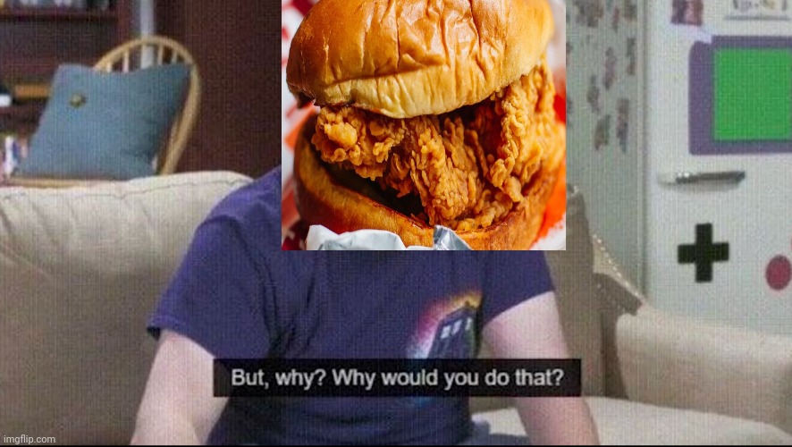 But why why would you do that? | image tagged in but why why would you do that | made w/ Imgflip meme maker