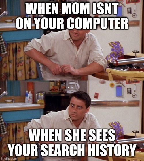 Joey meme | WHEN MOM ISN'T ON YOUR COMPUTER; WHEN SHE SEES YOUR SEARCH HISTORY | image tagged in joey meme | made w/ Imgflip meme maker