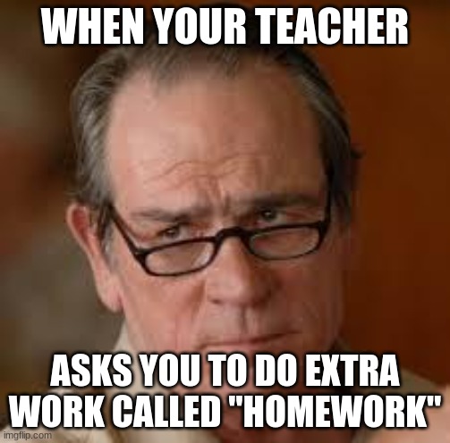 my face when someone asks a stupid question | WHEN YOUR TEACHER; ASKS YOU TO DO EXTRA WORK CALLED "HOMEWORK" | image tagged in my face when someone asks a stupid question | made w/ Imgflip meme maker