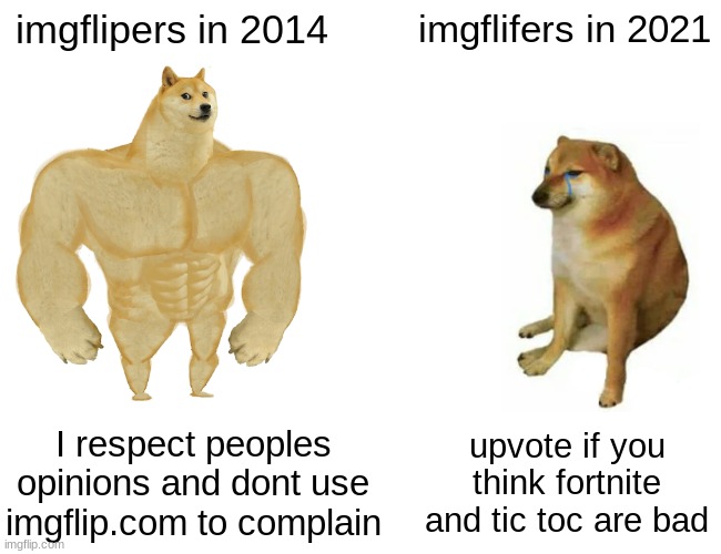 tru | imgflipers in 2014; imgflifers in 2021; I respect peoples opinions and dont use imgflip.com to complain; upvote if you think fortnite and tic toc are bad | image tagged in memes,buff doge vs cheems | made w/ Imgflip meme maker
