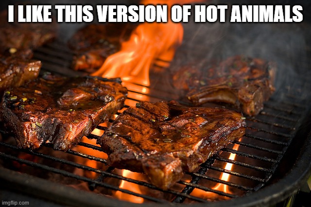 Grill | I LIKE THIS VERSION OF HOT ANIMALS | image tagged in grill | made w/ Imgflip meme maker