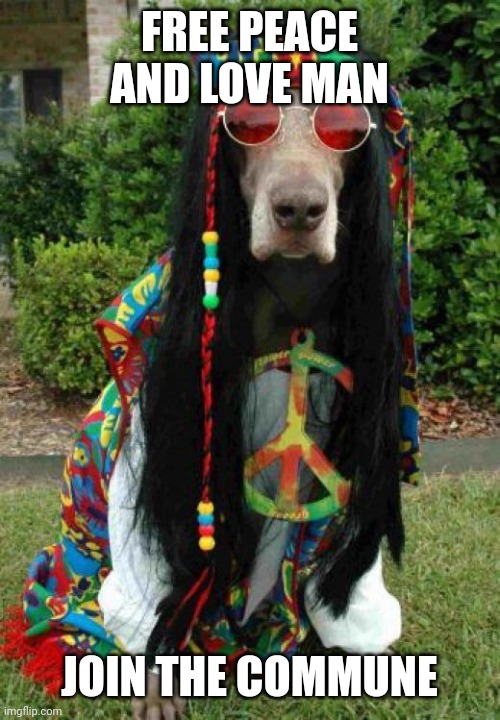 Peace | FREE PEACE AND LOVE MAN; JOIN THE COMMUNE | image tagged in hippie dog | made w/ Imgflip meme maker