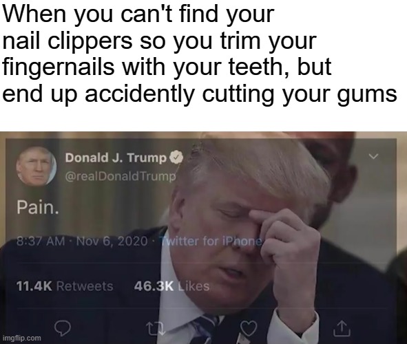 When you can't find your nail clippers so you trim your fingernails with your teeth, but end up accidently cutting your gums | image tagged in donald trump pain | made w/ Imgflip meme maker